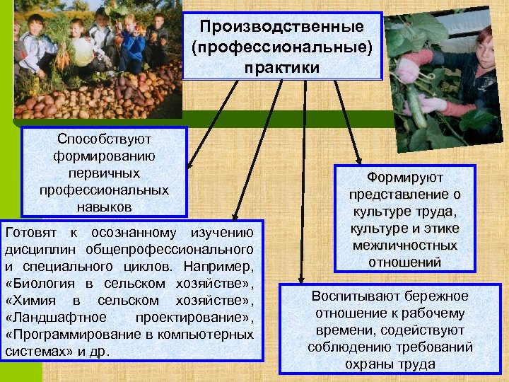 Производственные (профессиональные) практики Способствуют формированию первичных профессиональных навыков Готовят к осознанному изучению дисциплин общепрофессионального