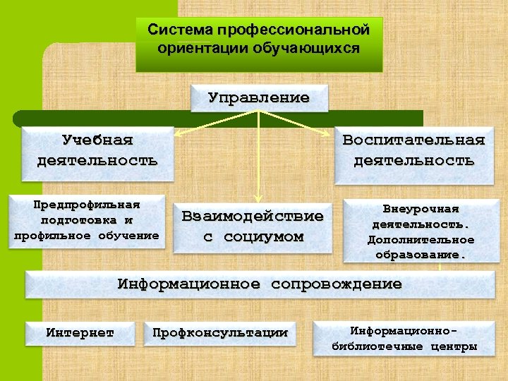 Организация профессиональной ориентации обучающихся