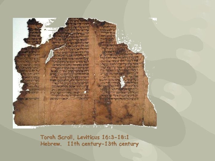 Torah Scroll, Leviticus 16: 3 -18: 1 Hebrew. 11 th century-13 th century 