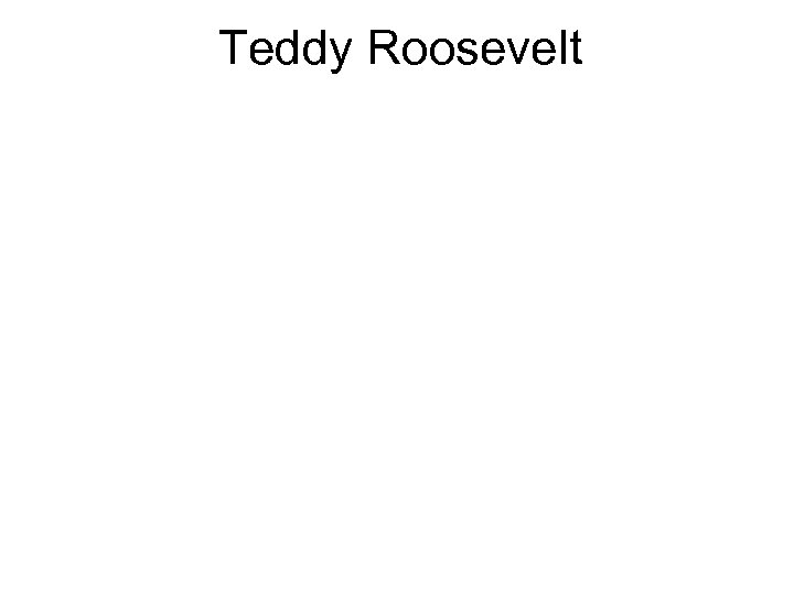 Teddy Roosevelt 