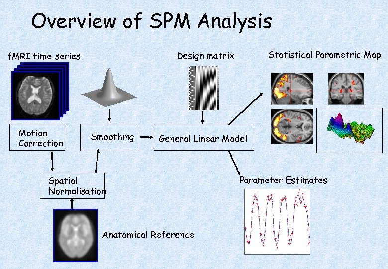 Overview of SPM Analysis Motion Correction Statistical Parametric Map Design matrix f. MRI time-series