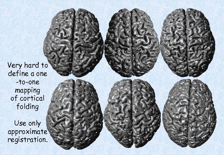 Very hard to define a one -to-one mapping of cortical folding Use only approximate