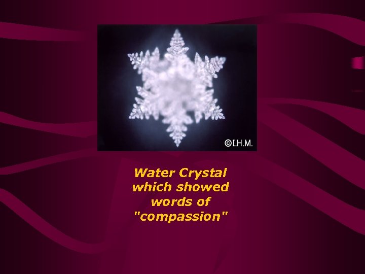 Water Crystal which showed words of 