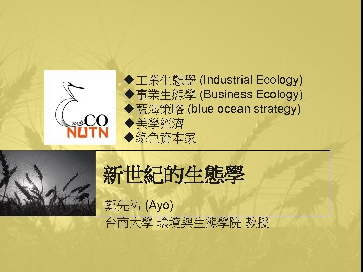 u 業生態學 (Industrial Ecology) u事業生態學 (Business Ecology) u藍海策略 (blue ocean strategy) u美學經濟 u綠色資本家 新世紀的生態學