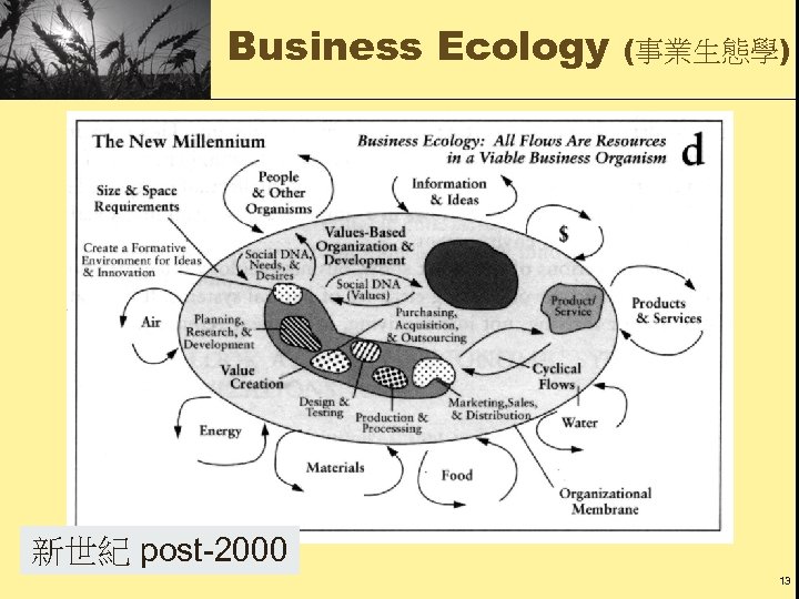 Business Ecology (事業生態學) 新世紀 post-2000 13 