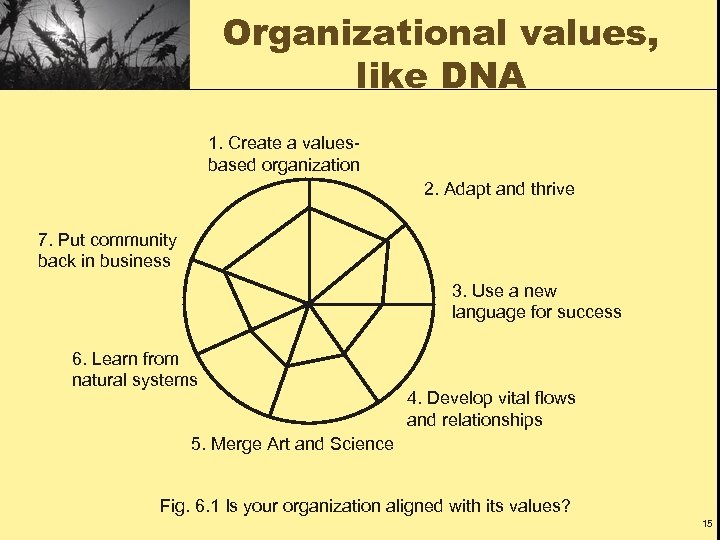 Organizational values, like DNA 1. Create a valuesbased organization 2. Adapt and thrive 7.