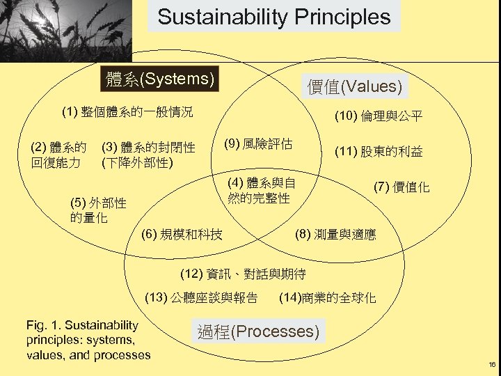 Sustainability Principles 體系(Systems) 價值(Values) (1) 整個體系的一般情況 (2) 體系的 回復能力 (10) 倫理與公平 (9) 風險評估 (3)