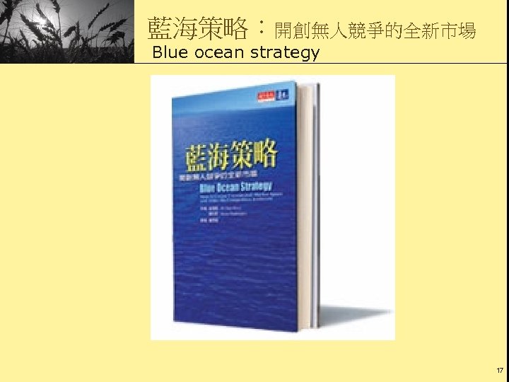 藍海策略：開創無人競爭的全新市場 Blue ocean strategy 17 