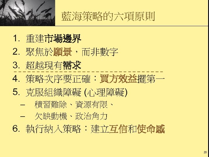 藍海策略的六項原則 1. 2. 3. 4. 5. 重建市場邊界 聚焦於願景，而非數字 超越現有需求 策略次序要正確：買方效益擺第一 克服組織障礙 (心理障礙) – –