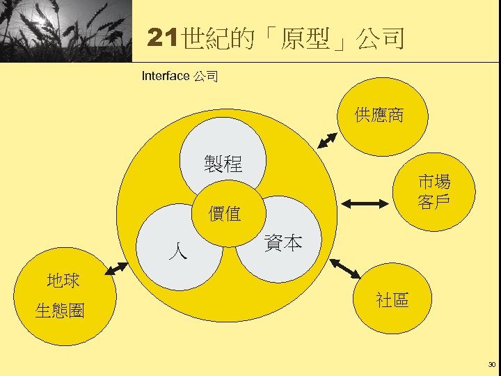 21世紀的「原型」公司 Interface 公司 供應商 製程 市場 客戶 價值 人 資本 地球 生態圈 社區 30