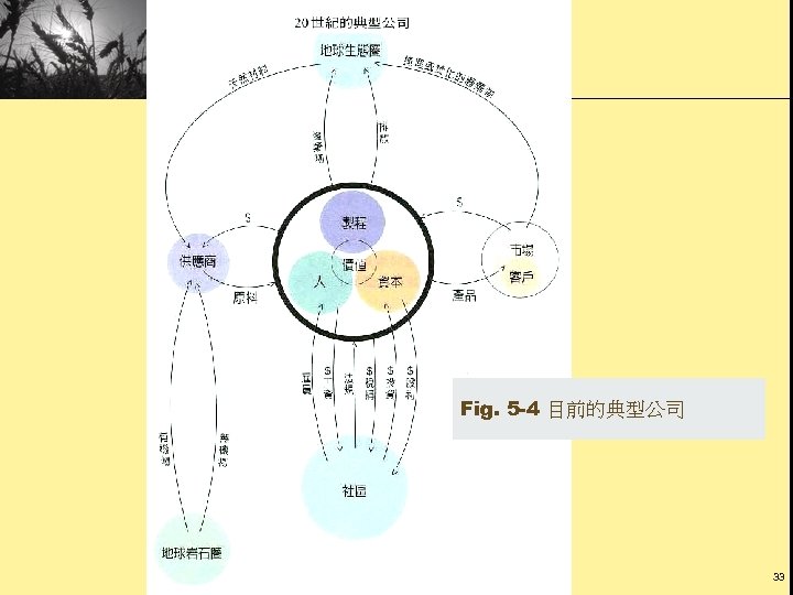 Fig. 5 -4 目前的典型公司 33 