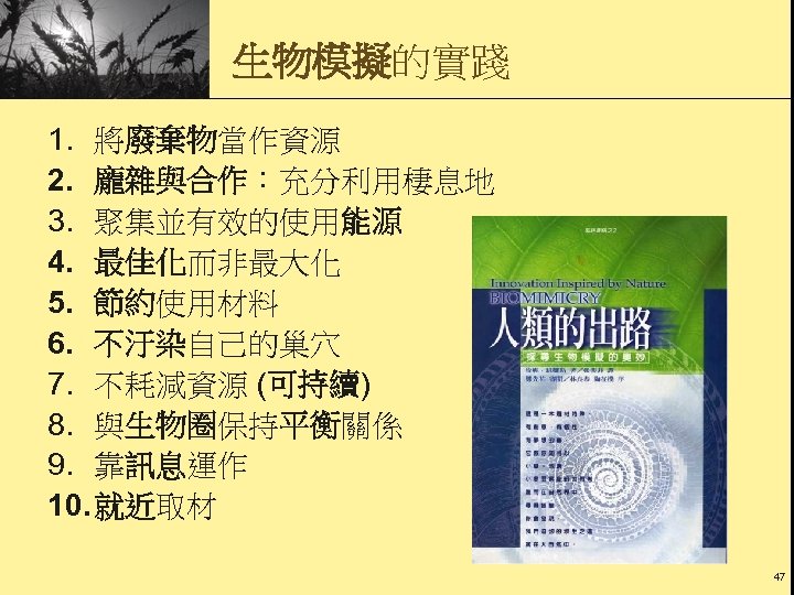 生物模擬的實踐 1. 將廢棄物當作資源 2. 龐雜與合作：充分利用棲息地 3. 聚集並有效的使用能源 4. 最佳化而非最大化 5. 節約使用材料 6. 不汙染自己的巢穴 7.