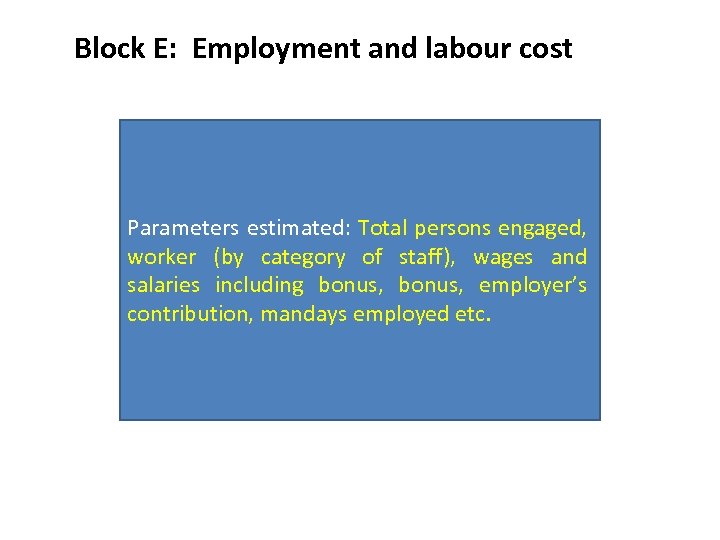 Block E: Employment and labour cost Parameters estimated: Total persons engaged, worker (by category