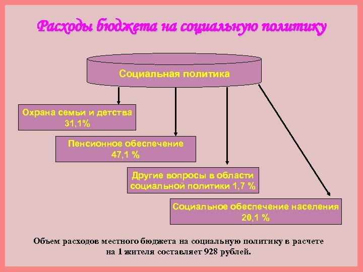 Расходы бюджета на социальную политику Социальная политика Охрана семьи и детства 31, 1% Пенсионное