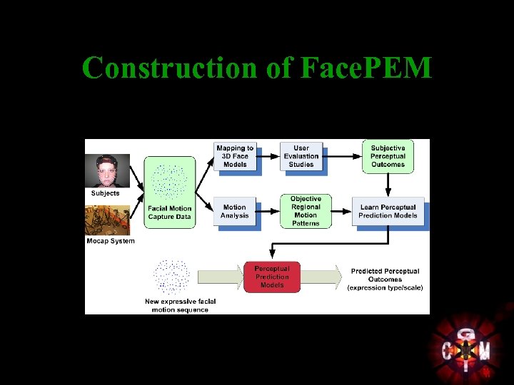 Construction of Face. PEM 