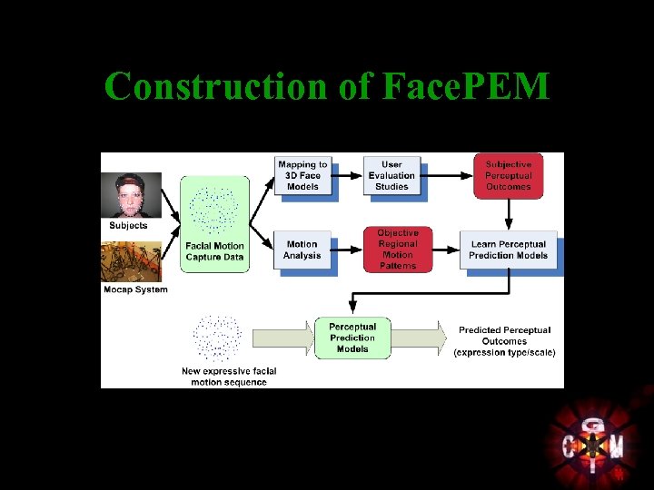 Construction of Face. PEM 