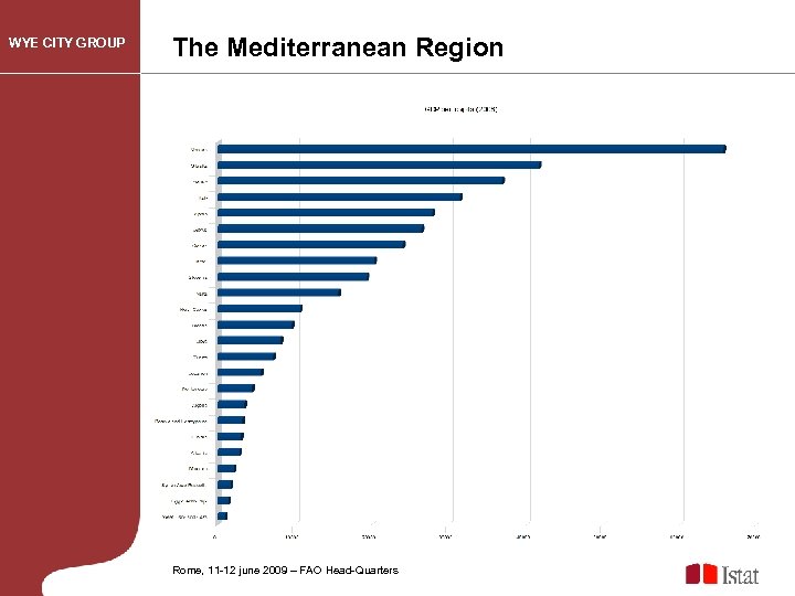 WYE CITY GROUP The Mediterranean Region Rome, 11 -12 june 2009 – FAO Head-Quarters