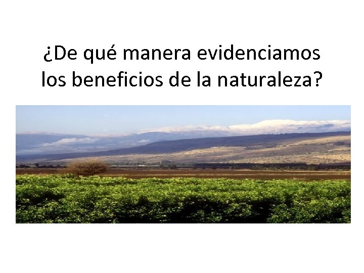 ¿De qué manera evidenciamos los beneficios de la naturaleza? 