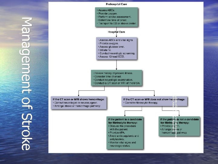 Reproduced with permission, 2010 American Heart Association Guidelines for Cardiopulmonary Resuscitation and Emergency Cardiovascular