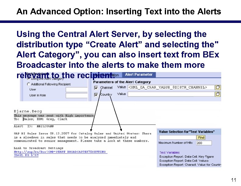 An Advanced Option: Inserting Text into the Alerts Using the Central Alert Server, by