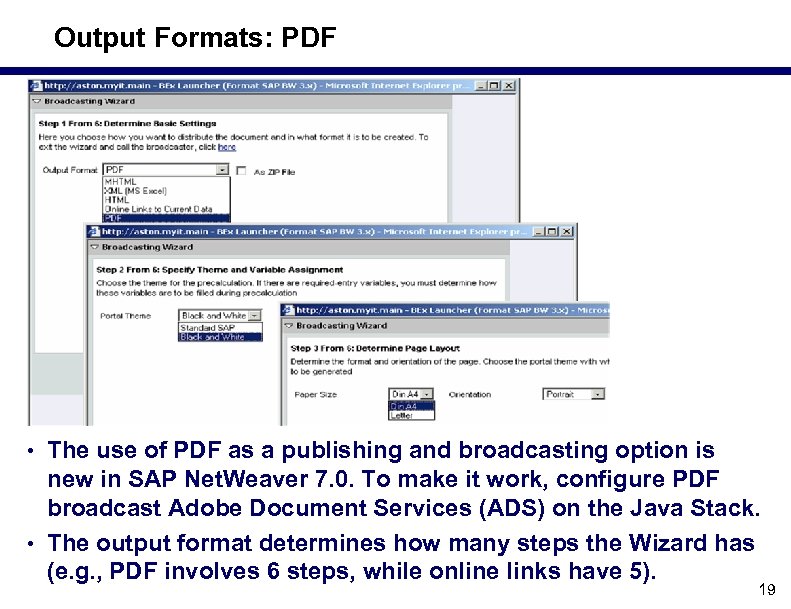 Output Formats: PDF • The use of PDF as a publishing and broadcasting option
