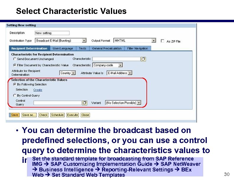 Select Characteristic Values • You can determine the broadcast based on predefined selections, or