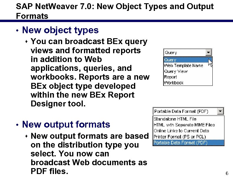 SAP Net. Weaver 7. 0: New Object Types and Output Formats • New object