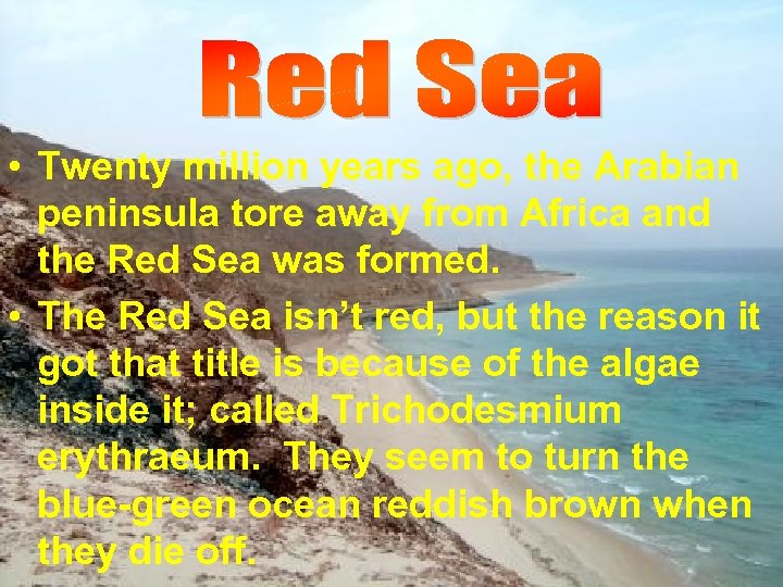  • Twenty million years ago, the Arabian peninsula tore away from Africa and