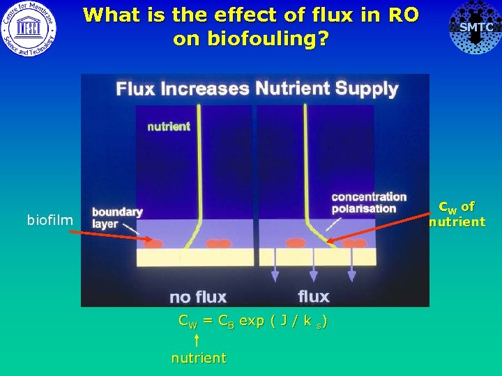 What is the effect of flux in RO on biofouling? SMTC CW of nutrient