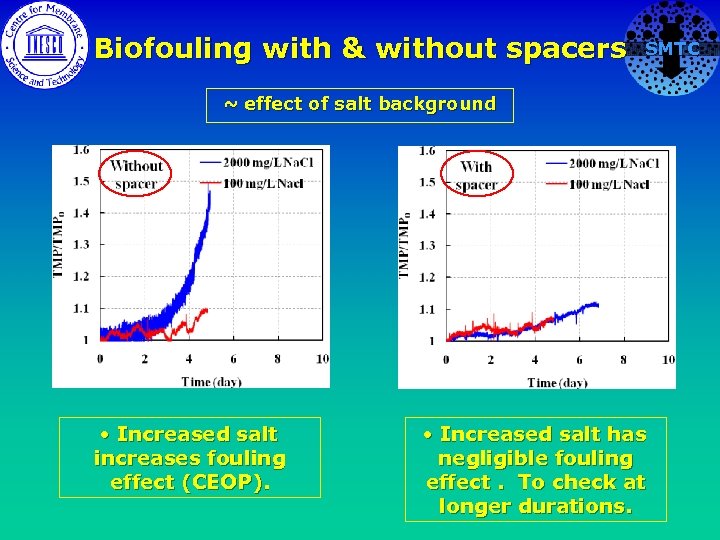 Biofouling with & without spacers SMTC ~ effect of salt background • Increased salt