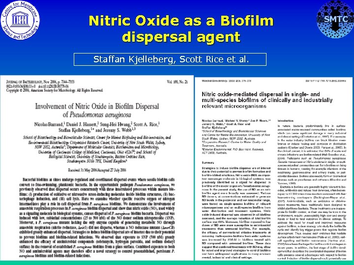 Nitric Oxide as a Biofilm dispersal agent Staffan Kjelleberg, Scott Rice et al. SMTC