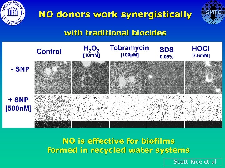NO donors work synergistically SMTC with traditional biocides NO is effective for biofilms formed