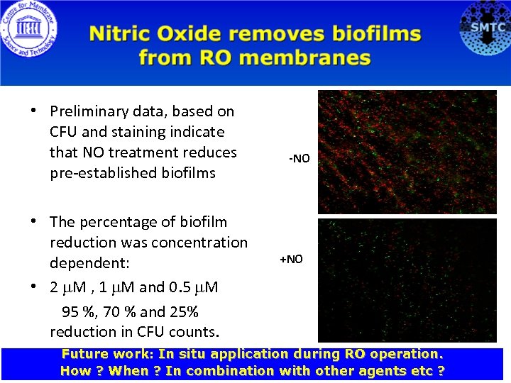 NO treatment reduces biofilms on RO membranes • Preliminary data, based on CFU and