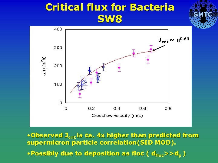 Critical flux for Bacteria SW 8 SMTC Jcrit ~ u 0. 66 Cake No