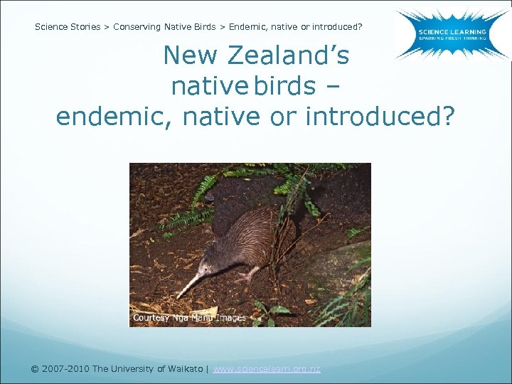 Science Stories > Conserving Native Birds > Endemic, native or introduced? New Zealand’s native