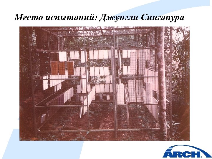 Место испытаний: Джунгли Сингапура 