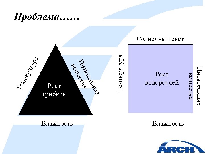 Проблема…… Влажность Температура ера т мп Те Питательные вещества Влажность Рост водорослей е Рост