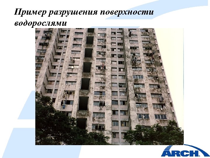 Пример разрушения поверхности водорослями 