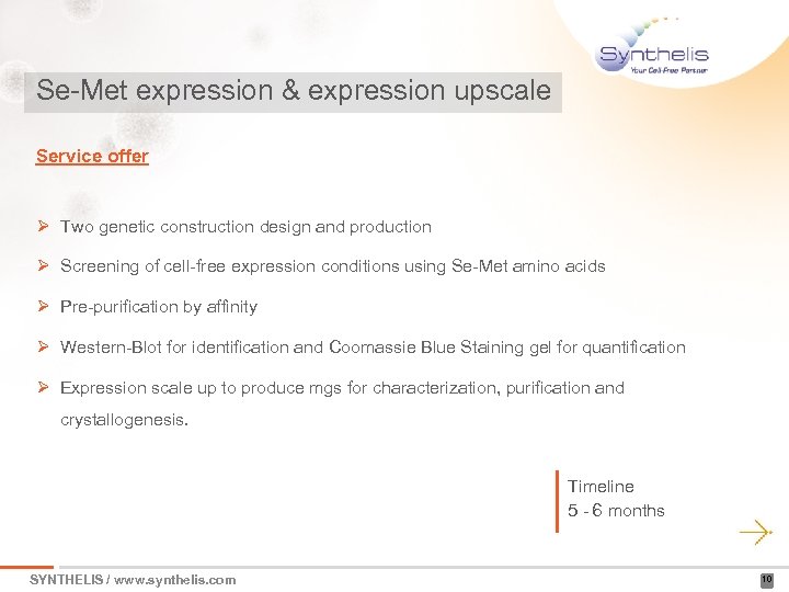 Se-Met expression & expression upscale Service offer Ø Two genetic construction design and production