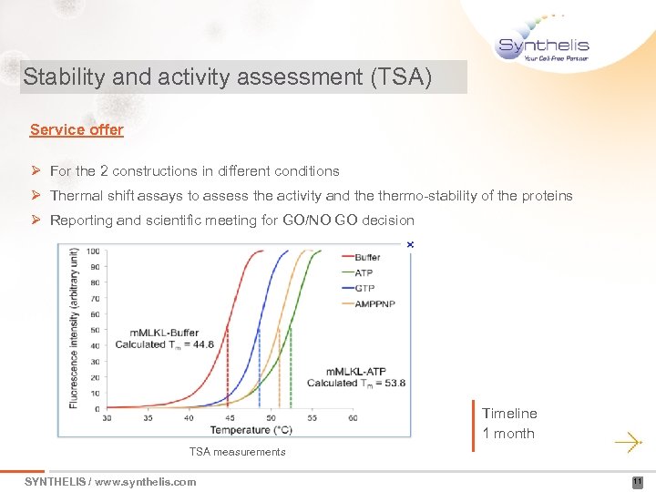 Stability and activity assessment (TSA) Service offer Ø For the 2 constructions in different