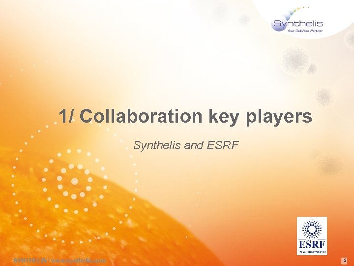 1/ Collaboration key players Synthelis and ESRF SYNTHELIS / www. synthelis. com 2 