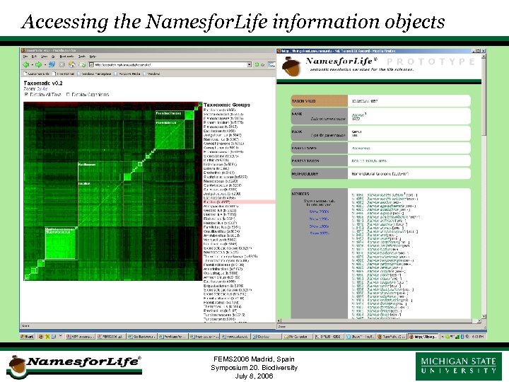 Accessing the Namesfor. Life information objects FEMS 2006 Madrid, Spain Symposium 20. Biodiversity July