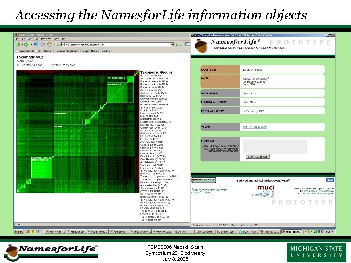 Accessing the Namesfor. Life information objects FEMS 2006 Madrid, Spain Symposium 20. Biodiversity July