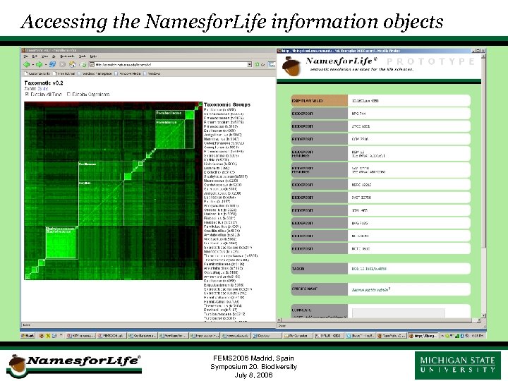 Accessing the Namesfor. Life information objects FEMS 2006 Madrid, Spain Symposium 20. Biodiversity July