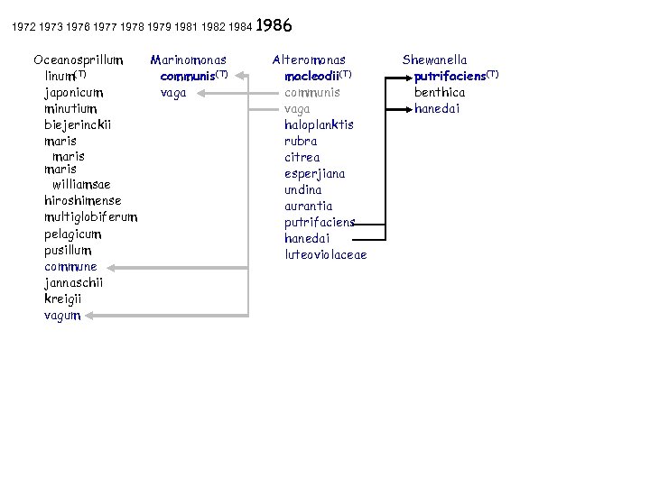 1972 1973 1976 1977 1978 1979 1981 1982 1984 1986 Oceanosprillum linum(T) japonicum minutium