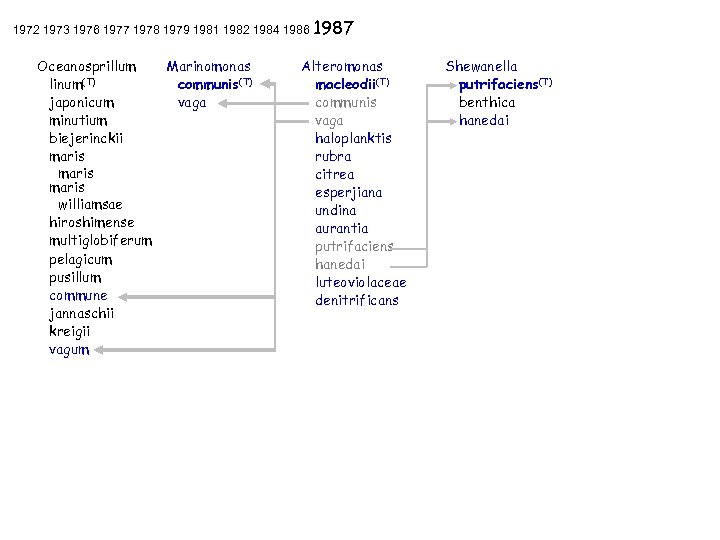 1972 1973 1976 1977 1978 1979 1981 1982 1984 1986 1987 Oceanosprillum linum(T) japonicum