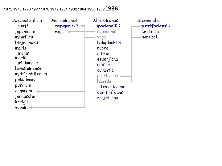 1972 1973 1976 1977 1978 1979 1981 1982 1984 1986 1987 1988 Oceanosprillum linum(T)