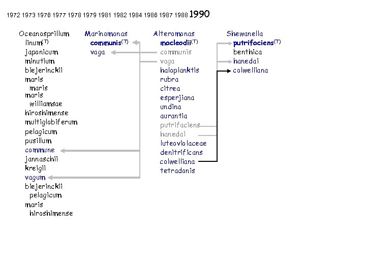 1972 1973 1976 1977 1978 1979 1981 1982 1984 1986 1987 1988 1990 Oceanosprillum