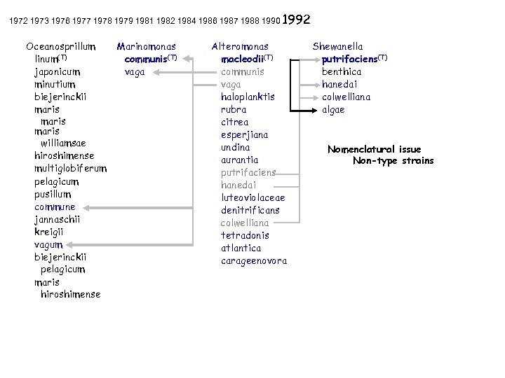 1972 1973 1976 1977 1978 1979 1981 1982 1984 1986 1987 1988 1990 1992