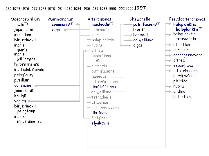 1972 1973 1976 1977 1978 1979 1981 1982 1984 1986 1987 1988 1990 1992